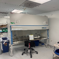 Thermo 1300 Series A2 6' BioSafety Cabinet image 0